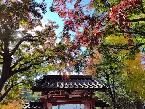 �ߘa�V�N�H����@�s��ʉ@�̍g�t�Q