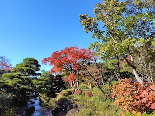 �ߘa�V�N�H�s�D�����̍g�t�R