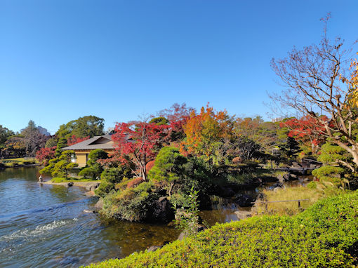 �ߘa�V�N�H�s�D�����̍g�t�S