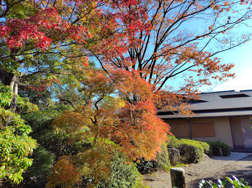 �ߘa�V�N�H�s�D�����̍g�t�X