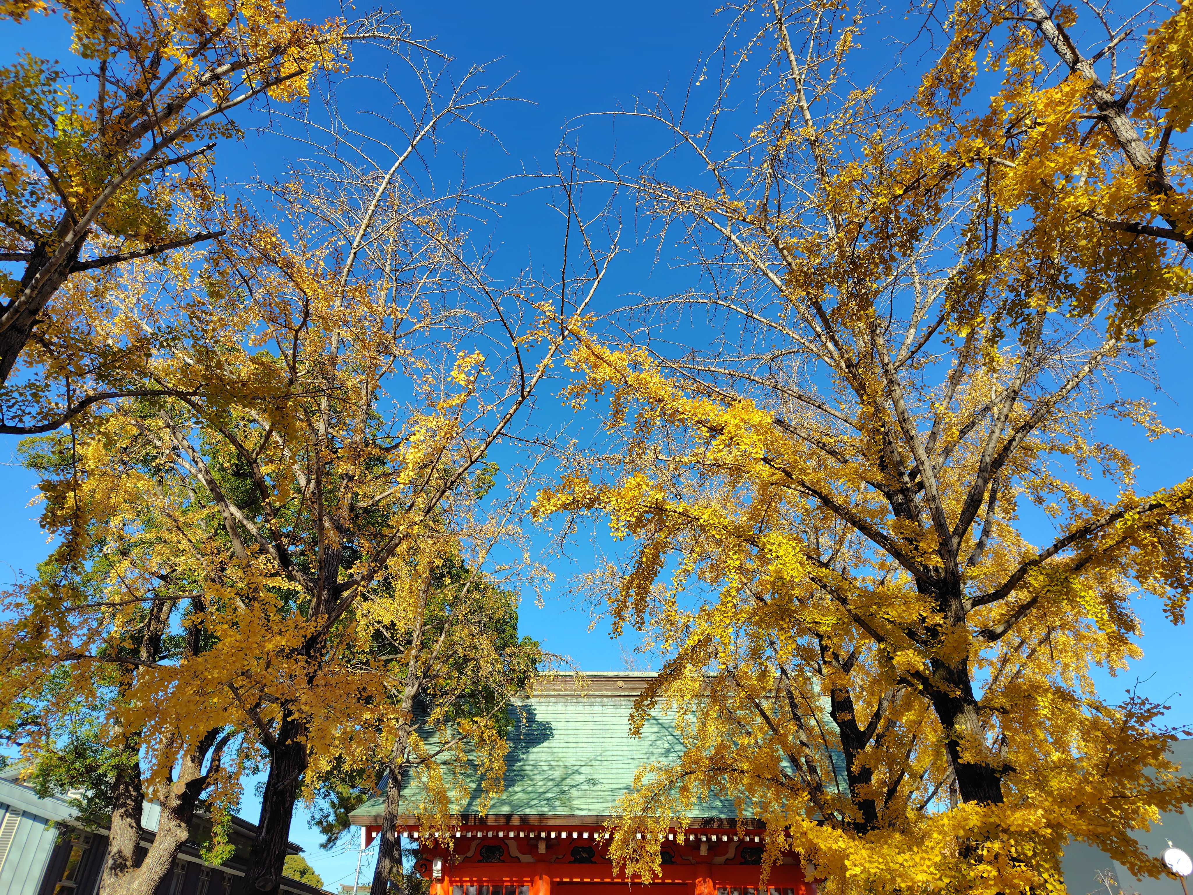 �ߘa�V�N�H���������{�̌��������؂Q