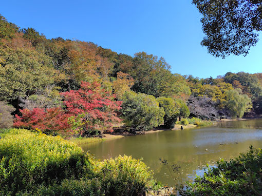 �ߘa�V�N�H�W�����T�C�r�Βn�����̍g�t�U