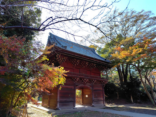 �ߘa�V�N�H�^�ԎR�O�@���̍g�t�S