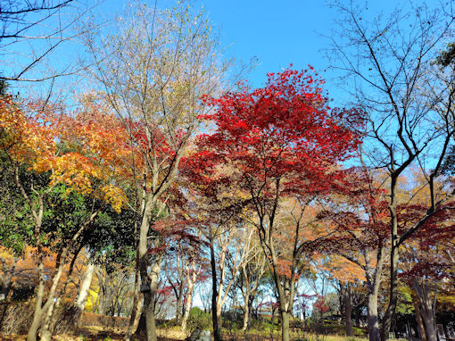 �ߘa�V�N�H�O�������̍g�t�Q