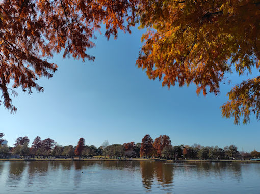 �ߘa�V�N�H�O�������̍g�t�T