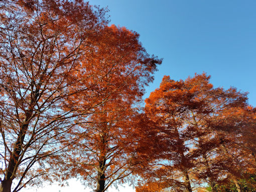 �ߘa�V�N�H�O�������̍g�t�U