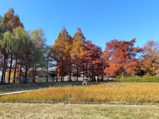 �ߘa�V�N�H�O������