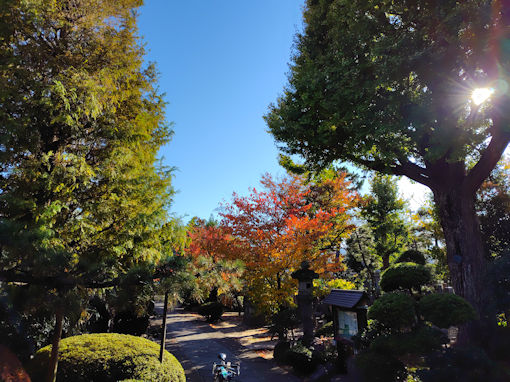 �ߘa�V�N�H��V�]�������̍g�t�P