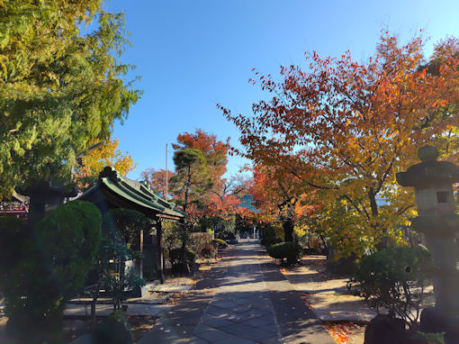 �ߘa�V�N�H��V�]�������̍g�t�Q