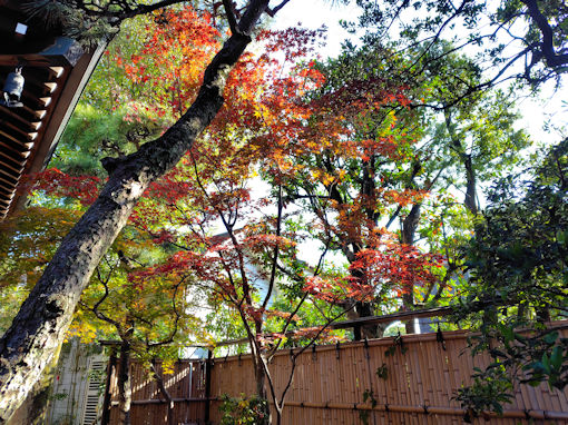 �ߘa�V�N�H��V�]�������̍g�t�S