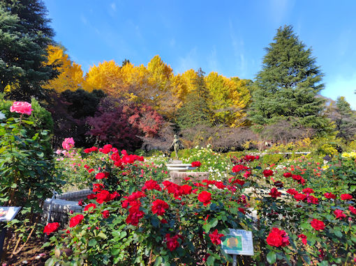 �ߘa�V�N�H��������