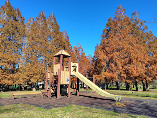 �ߘa�V�N�H������̍g�t�X