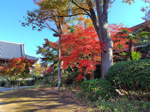 �ߘa�V�N�H���Ҏ��̍g�t�Q