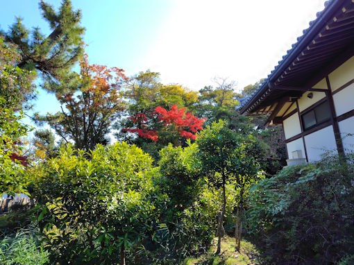 �ߘa�V�N�H���Ҏ��̍g�t�P�O