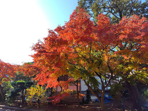 �ߘa�V�N�H���Ҏ��̍g�t�U