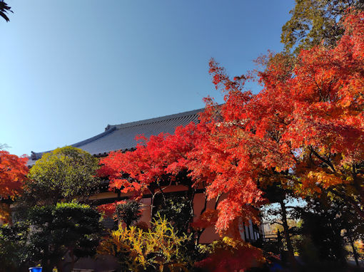 �ߘa�V�N�H���Ҏ��̍g�t�V