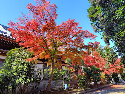 �ߘa�V�N�H�̖��Ҏ�