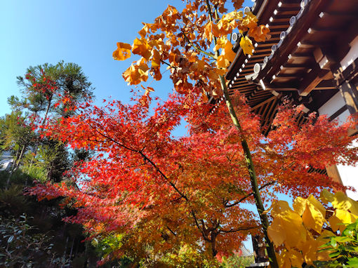 �ߘa�V�N�H���Ҏ��̍g�t�X