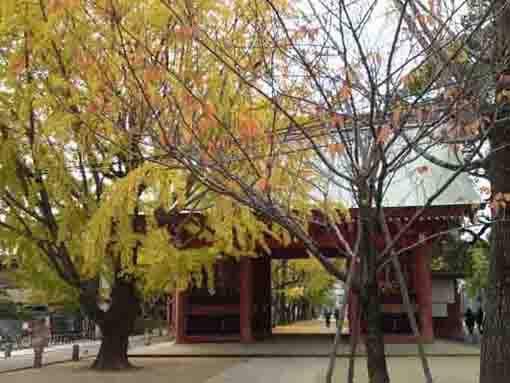 the back of Zuishinmon gate