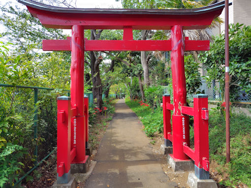 �ߘa�V�N�H�����_�Ђɍ炭�q�K���o�i�Q