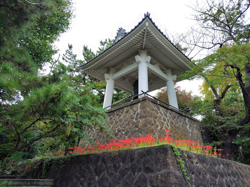 �ߘa�V�N�H�a�����󑠉@�ɍ炭�q�K���o�i�P