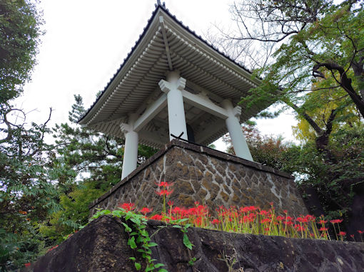 �ߘa�V�N�H���R�a�����󑠉@