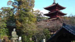 a daibutsu and a pagoda in Hokekyo-ji