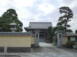 the pine trees of Jounji Temple