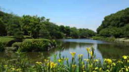 Junsaiike Pond Park