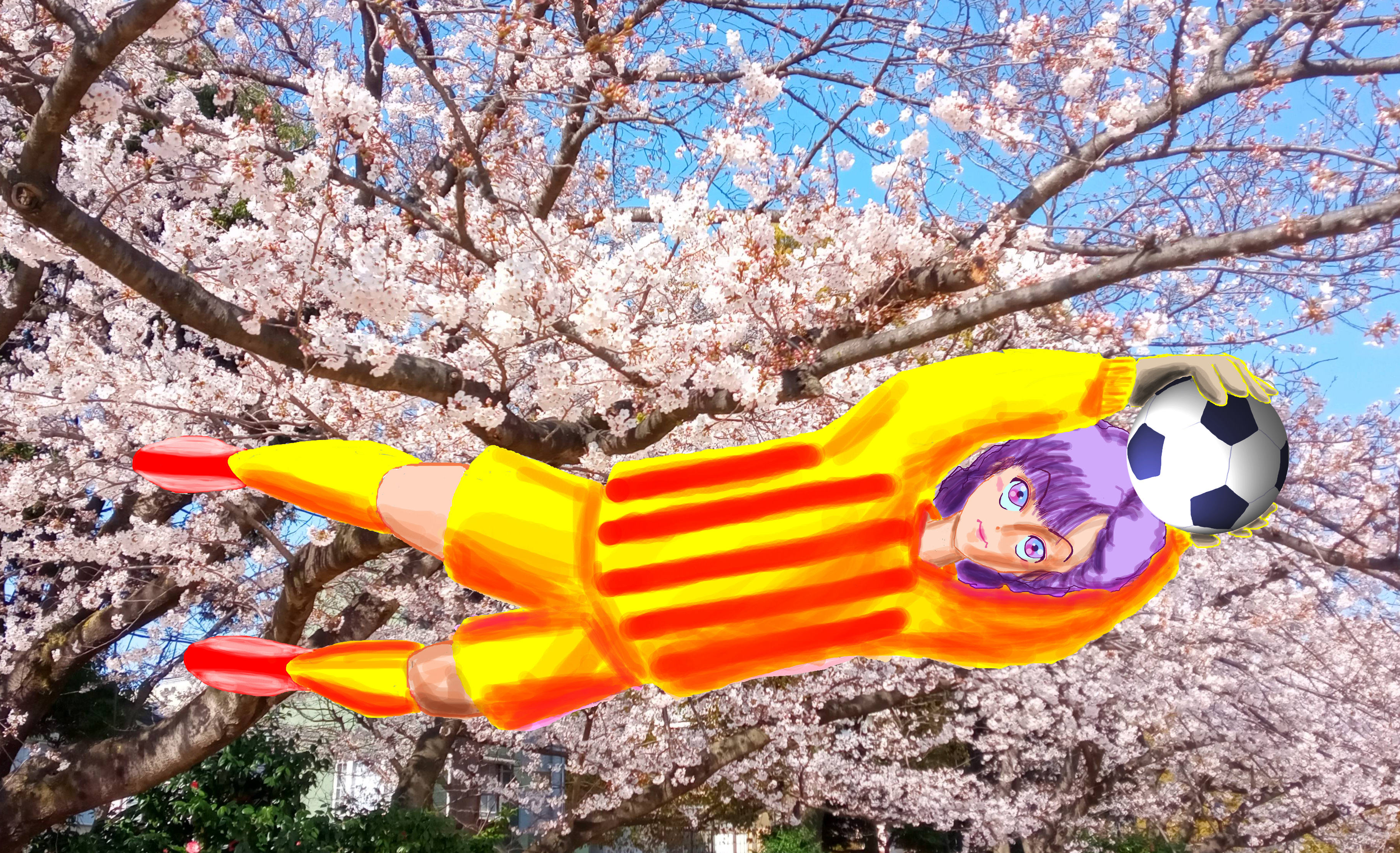 荷風のゴールキーパー