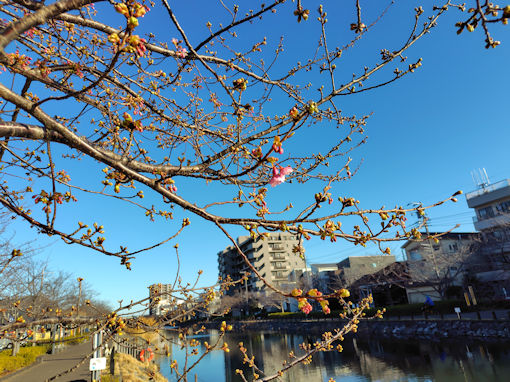 �ߘa�W�N�V�싴�k�l�̉͒Í��̊J�ԂP