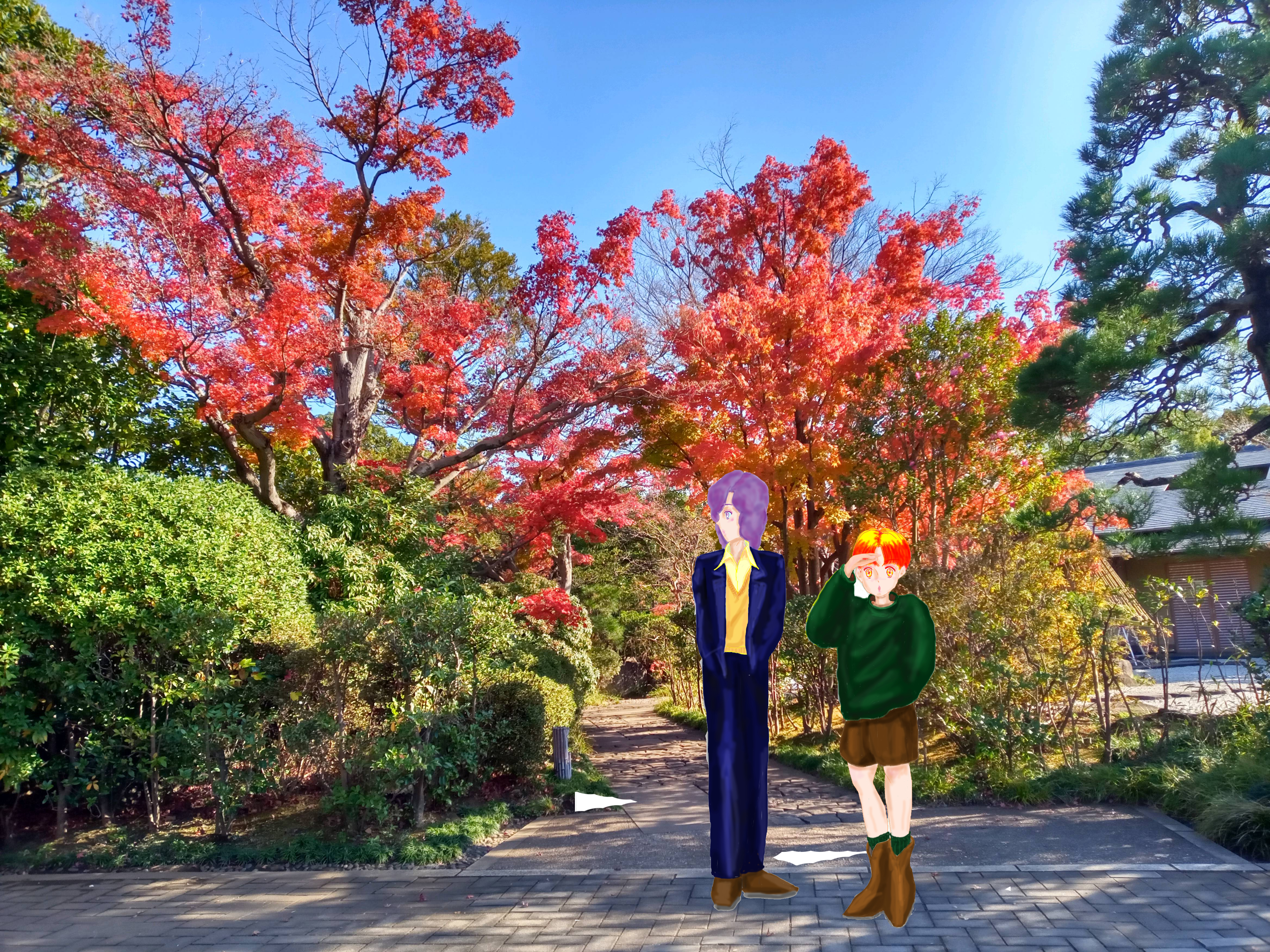 ���q�Ɖו�IN�s�D����