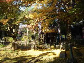 Satomi Ryujin Hall in Mamasan