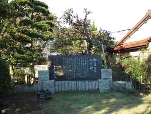 野菊の墓