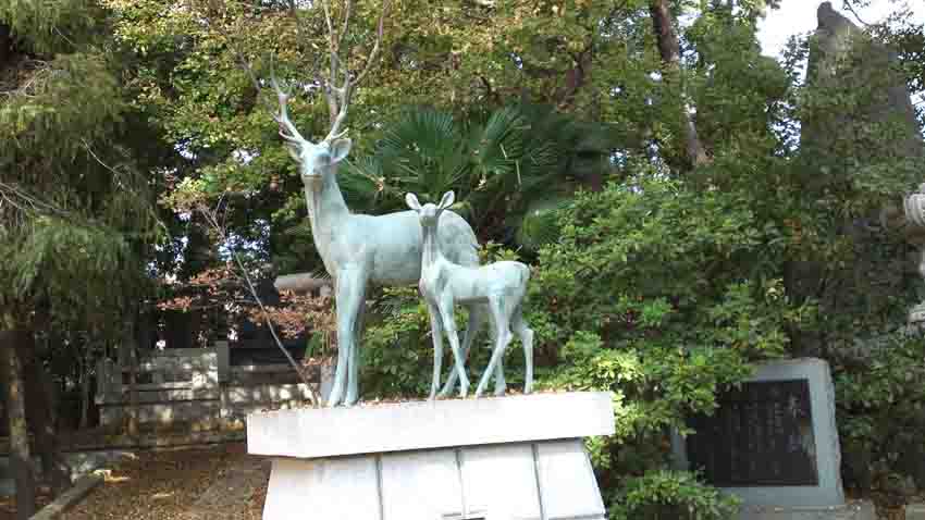 statues of deers in Kashima Jinja