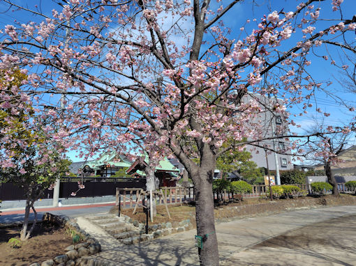 �ߘa�W�N�Ð�e�������̏C�P�������P