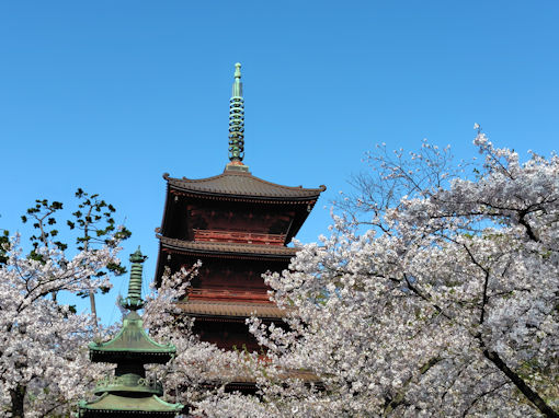 �ߘa�W�N���R�@�،o�����J�̃\���C���V�m