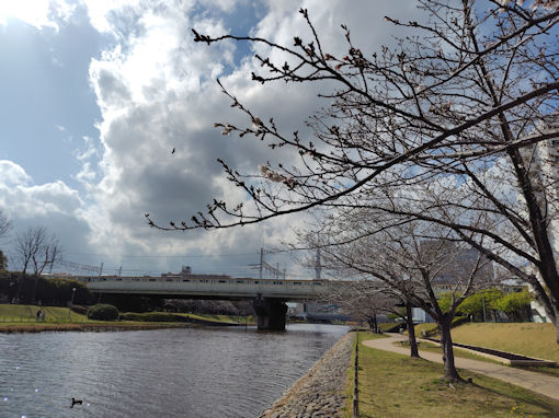 �ߘa�W�N���r�쉈���̍�����