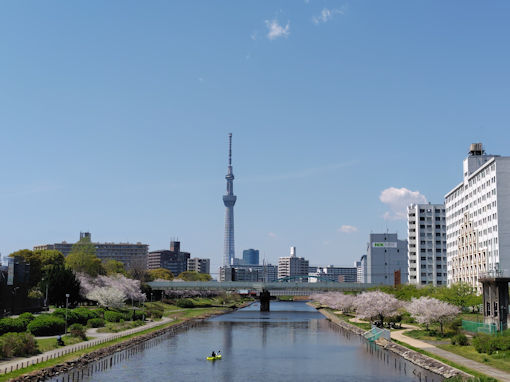 �ߘa�W�N�����쉈�����J�̃\���C���V�m�P