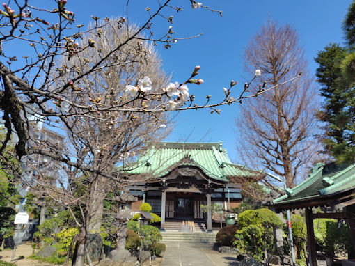 �ߘa�W�N�������̏����J�����\���C���V�m�P