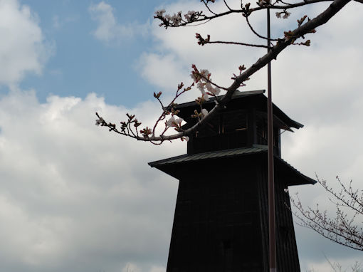 �ߘa�W�N�V�쐼�l�΂̌��E�ƍ��̉�