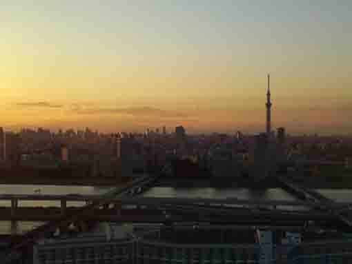 Tokyo Skytree in the evening