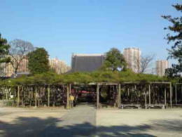 Zenyoji Temple